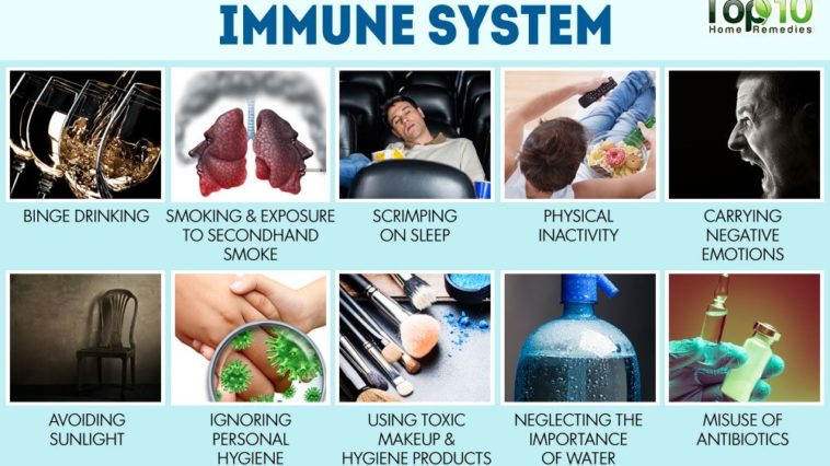 At what age does your immune system weaken?