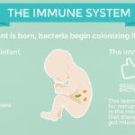 At what age is your immune system strongest?