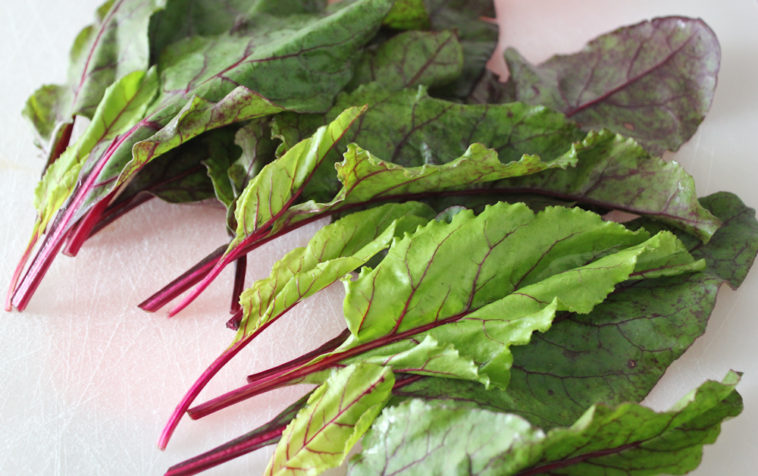 Can I Eat Beet Leaves Raw 