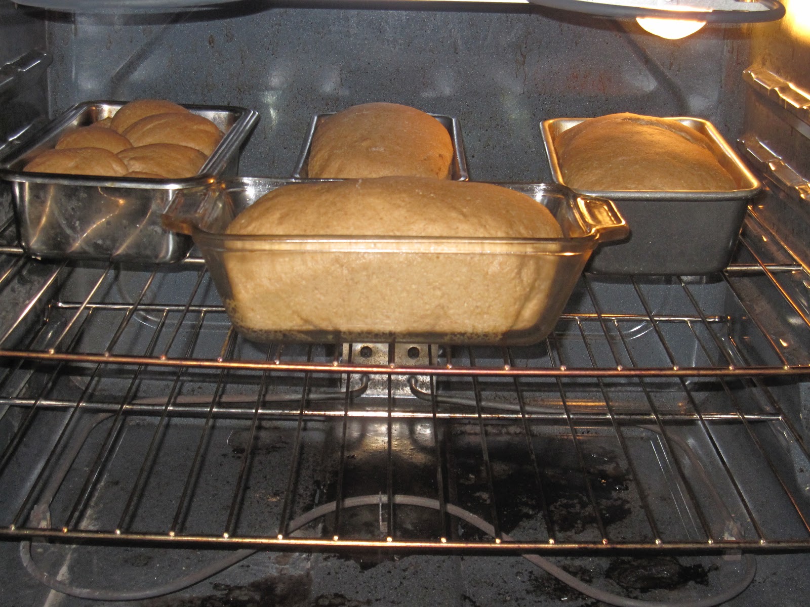 Why is my bread not rising in the oven?