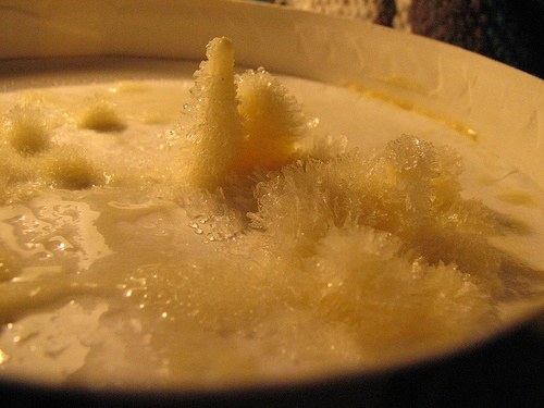 CAN expired ice cream kill you?