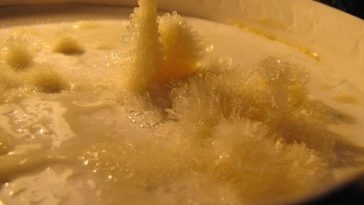 CAN expired ice cream kill you?