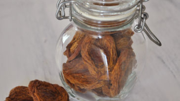 Can I air dry fruit?