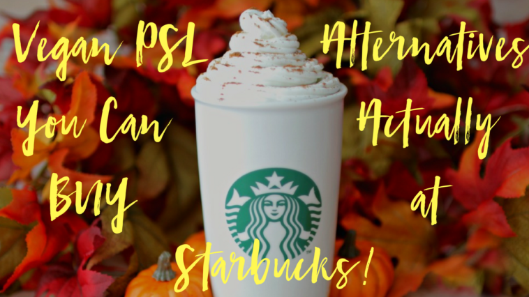 Can I buy PSL syrup?