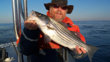 Can I catch rockfish in Maryland?
