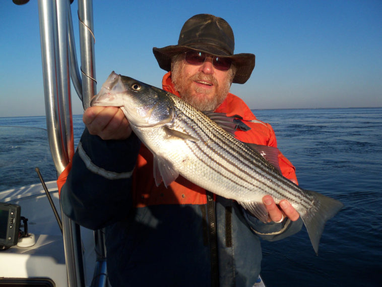 Can I catch rockfish in Maryland?