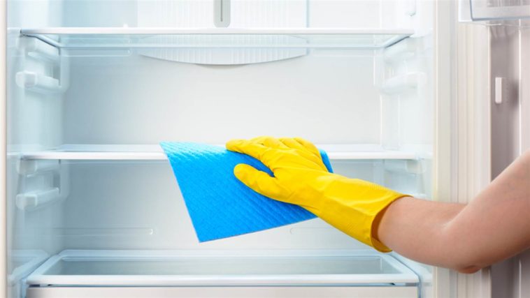Can I clean a fridge with vinegar?