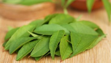 Can I cook curry without curry leaves?