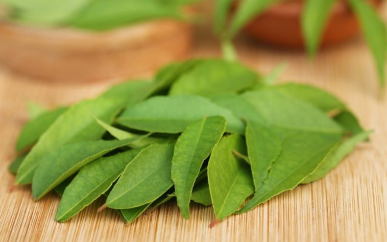 Can I cook curry without curry leaves?