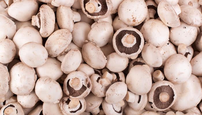 Can I eat mushrooms everyday?