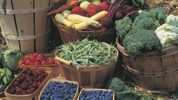 Can I eat unlimited vegetables and still lose weight?