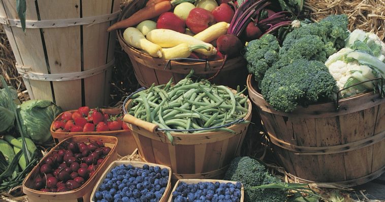 Can I eat unlimited vegetables and still lose weight?