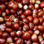 Can I freeze fresh chestnuts?