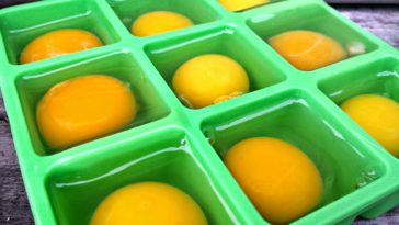 Can I freeze fresh eggs?