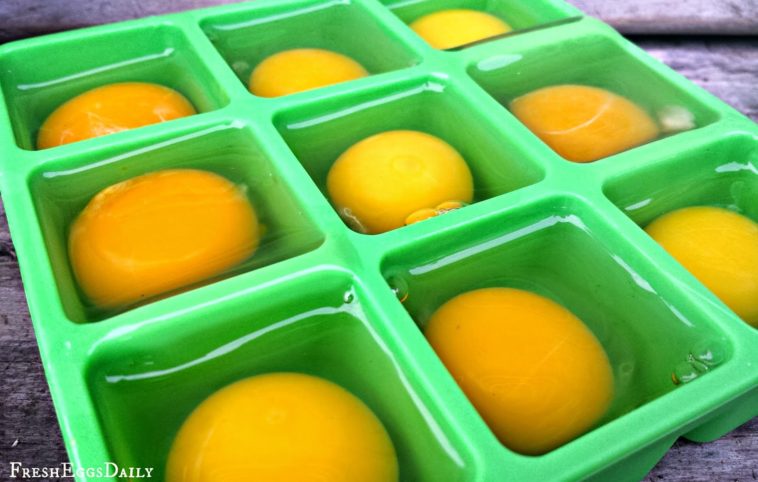 Can I freeze fresh eggs?