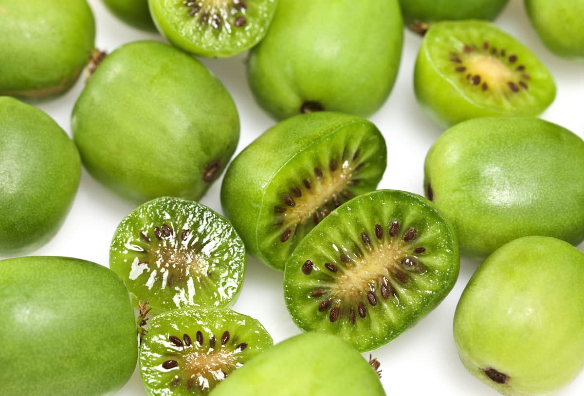 Berry kiwi Kiwi