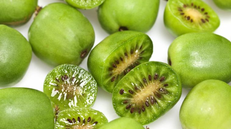 Can I freeze kiwi berries?
