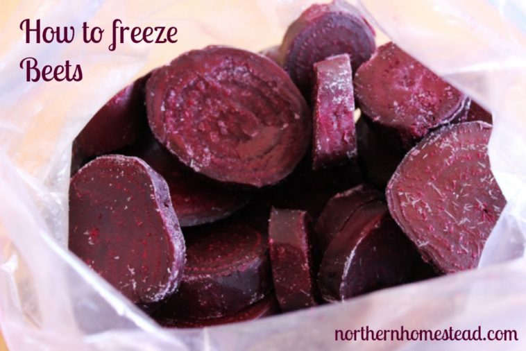 Can I freeze raw beets?