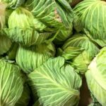 Can I freeze raw cabbage?