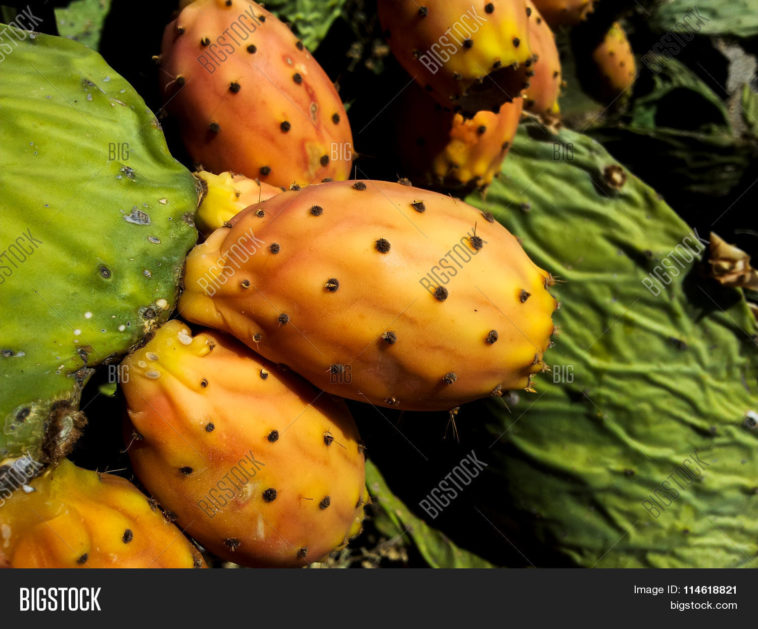 Can I order prickly pears online?