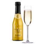 Can I put wine in my SodaStream?