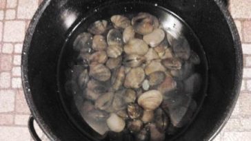 Can I soak clams overnight?