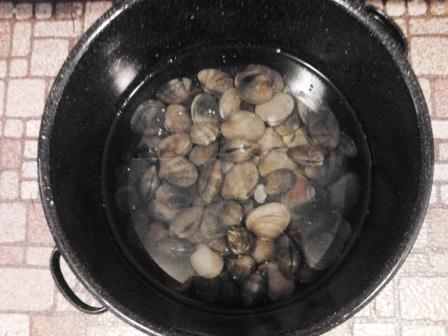 Can I soak clams overnight?