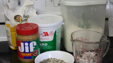 Can I substitute butter for suet?