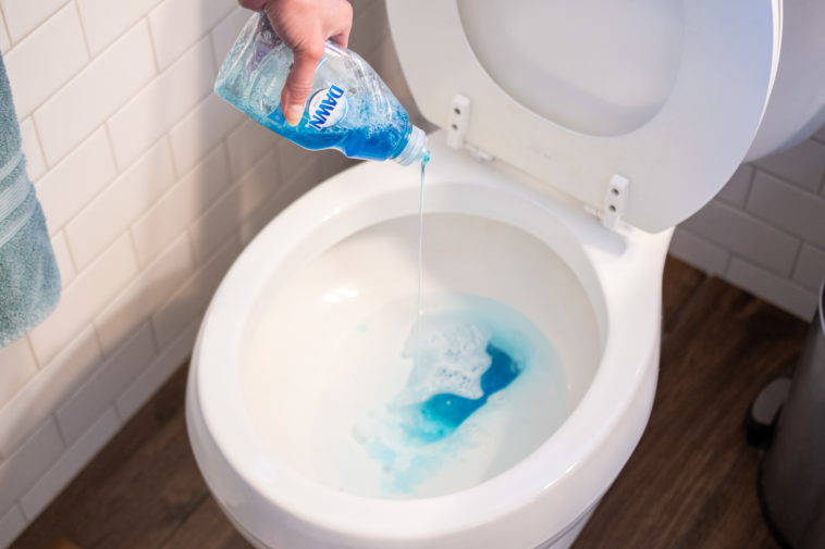 Can I use Dawn to clean my toilet?