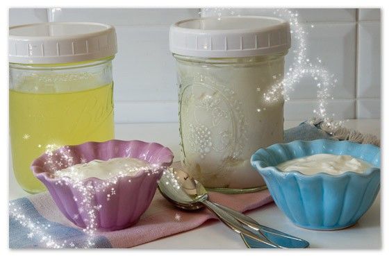 Can I use Greek yogurt as a starter?