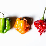Can I use Habanero instead of scotch bonnet?