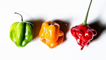 Can I use Habanero instead of scotch bonnet?