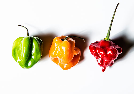 Can I use Habanero instead of scotch bonnet?