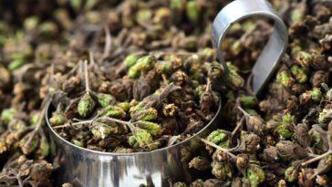 Can I use Italian seasoning instead of oregano?