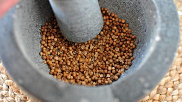 Can I use a spice grinder to grind coffee?