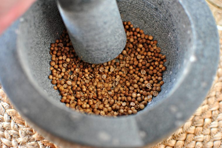 Can I use a spice grinder to grind coffee?