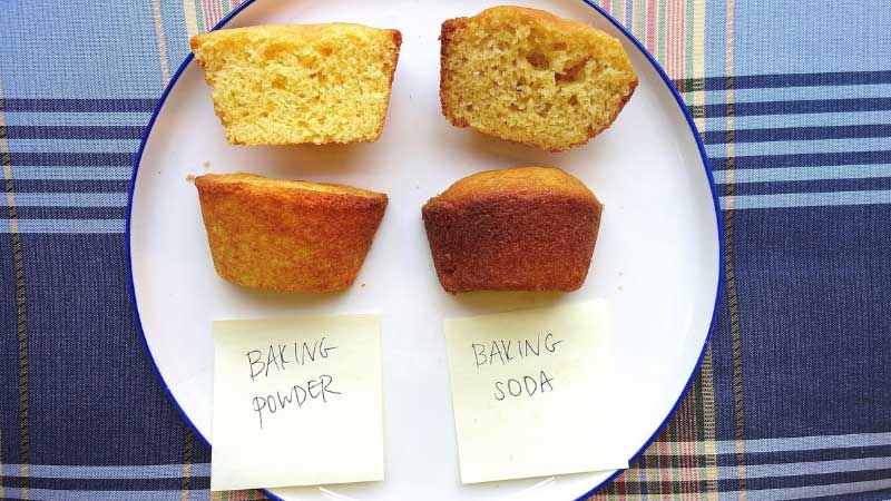 Difference between baking soda and baking powder