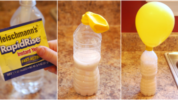 Can I use brown sugar with yeast?