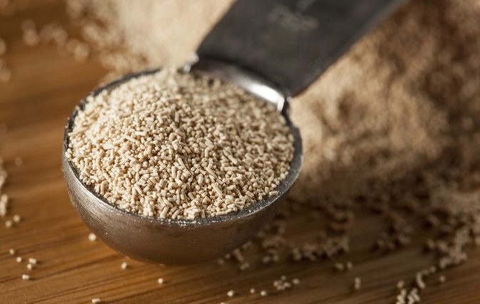 Can I use expired active dry yeast?