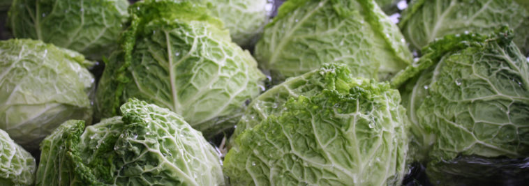Can I use savoy cabbage instead of napa cabbage?