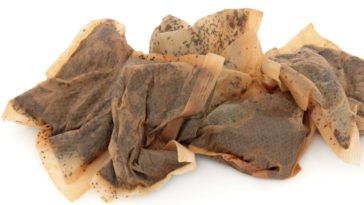 Can I use tea bags in my coffee maker?