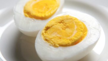 Can Maltipoo eat eggs?