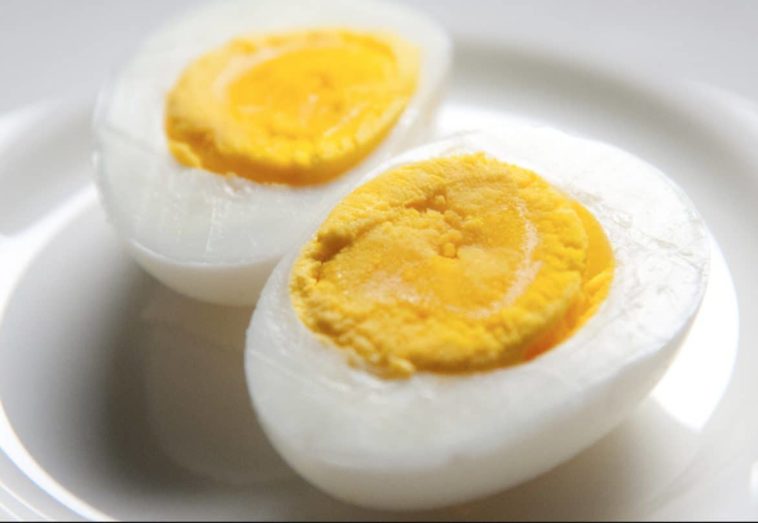 Can Maltipoo eat eggs?