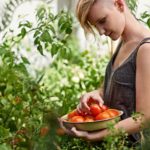 Can Vegans eat treacle?