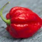 Can a Carolina Reaper kill you?