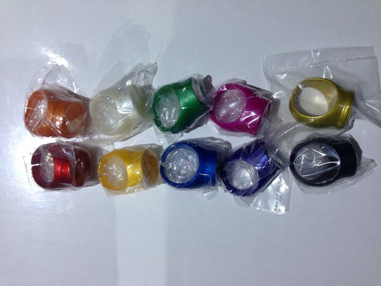 Can a Green Lantern wear two rings?