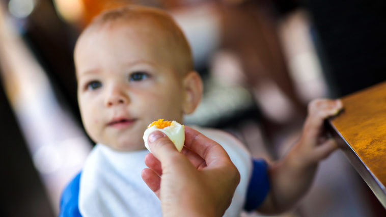 Can a baby eat 2 eggs a day?
