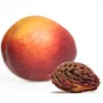 Can a nectarine seed kill you?