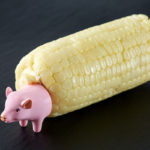 Can a pig eat a corn cob?