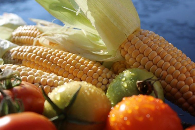 Can a vegetarian eat corn?